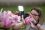 Lampka-LED-Newell-Sunny-do-smartfona_23_HD.jpg